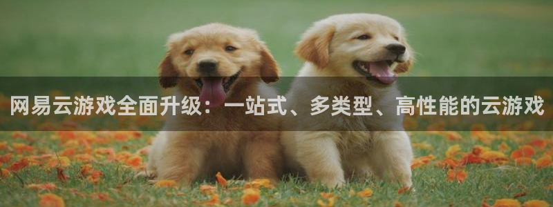 杏盛官网