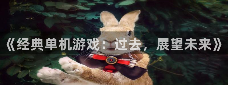 杏盛平台注册：《经典单机游戏：过去，展望未来》