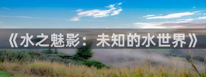 杏盛平台测速