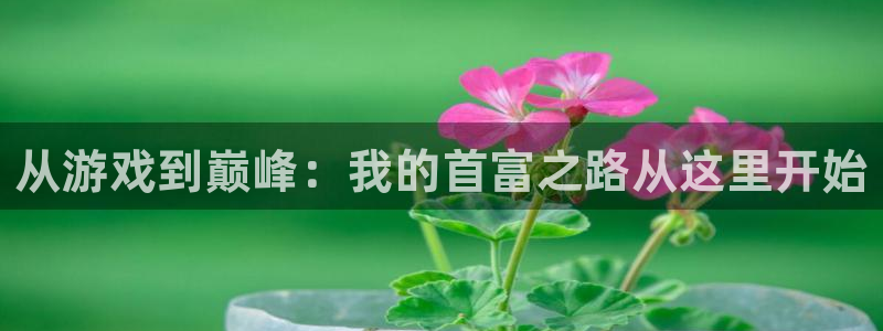 杏盛注册流程和入口：从游戏到巅峰：我的首富之路从这里开始
