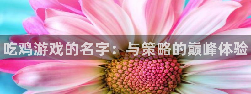 杏盛娱乐平台注册登录：吃鸡游戏的名字：与策略的巅峰体验