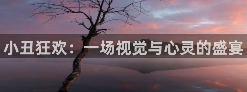 杏盛娱乐：小丑狂欢：一场视觉与心灵的盛宴