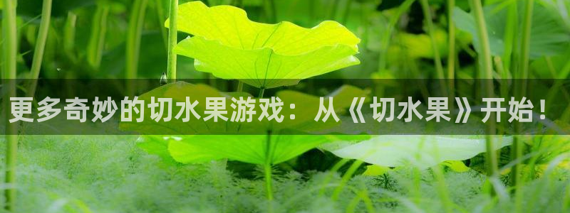 杏盛娱乐平台注册登录