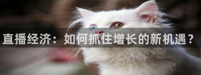 咪咕视频体育直播收费吗：直播经济：如何抓住增长的新机遇？