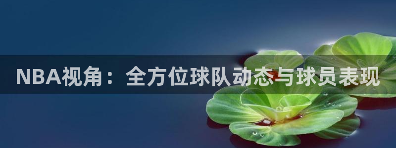 咪咕视频体育频道直播：NBA视角：全方位球队动态与球员表现