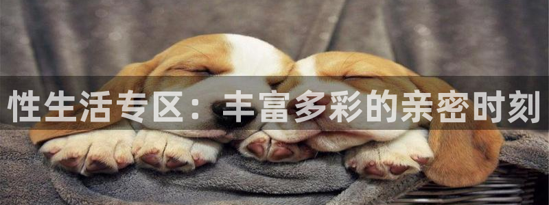 咪咕体育乒乓球直播在线观看：性生活专区：丰富多彩的亲密时刻