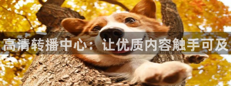 咪咕直播体育：高清转播中心：让优质内容触手可及