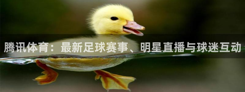 咪咕体育直播在线看：腾讯体育：最新足球赛事、明星直播与球迷互动