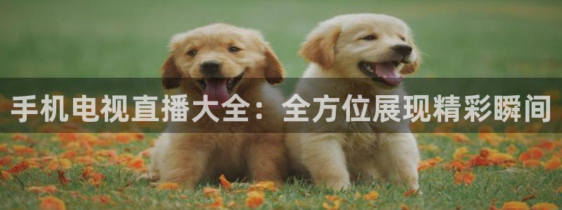 咪咕体育录像回放：手机电视直播大全：全方位展现精彩瞬间
