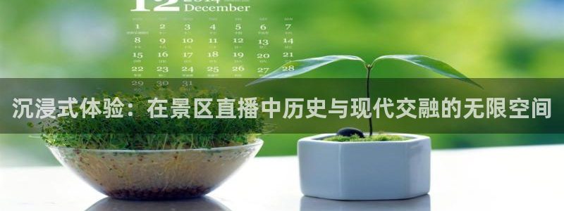 免费下载咪咕体育直播app：沉浸式体验：在景区直播中历史与现代交融的无限空间
